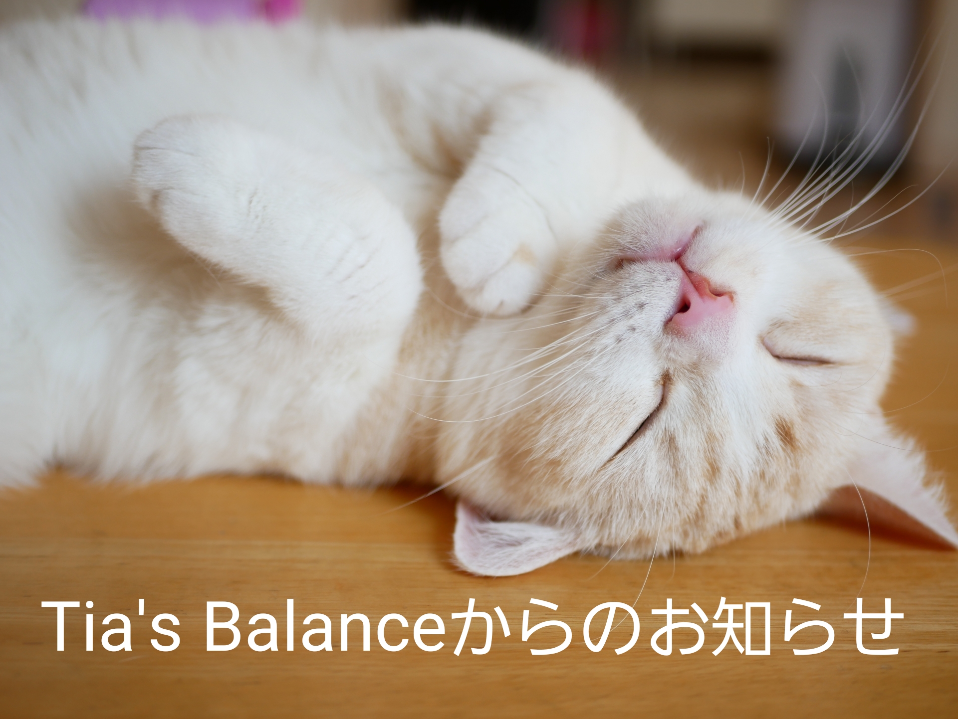 Tia’s Balance